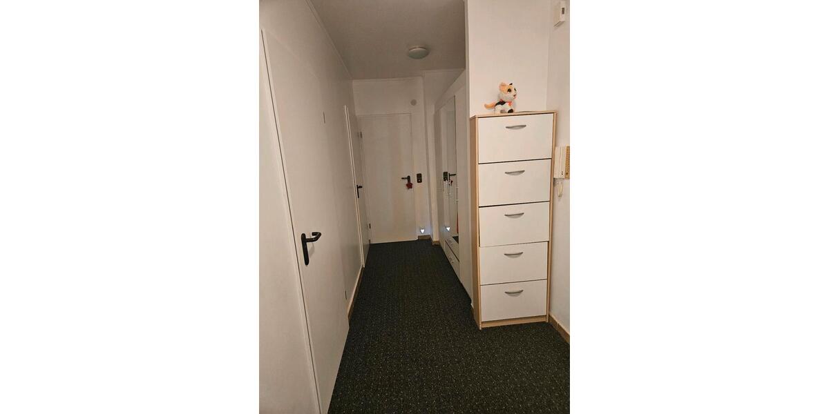 3 Zimmer Wohnung 3 zimmer