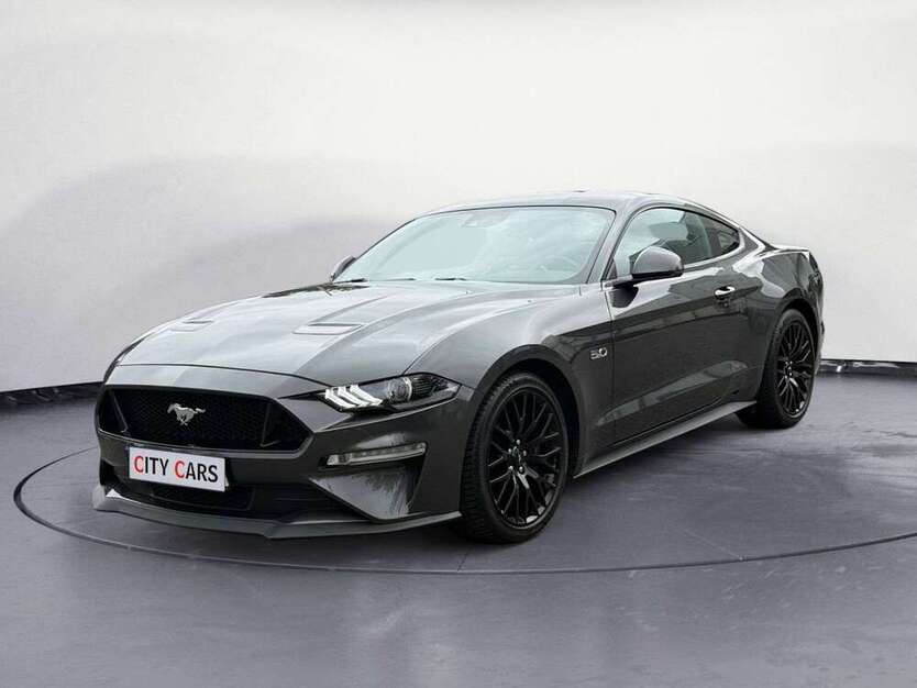 Mustang