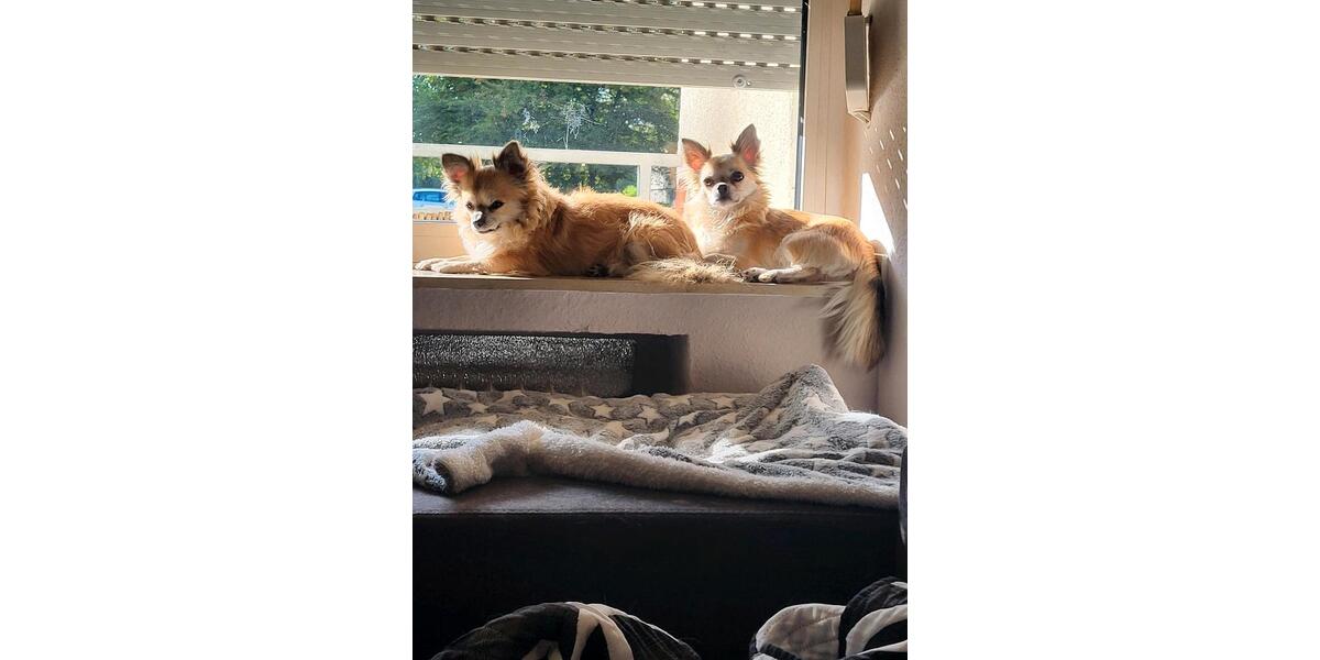 BITTE Lesen ,UM MITHILFE 1 zimmer