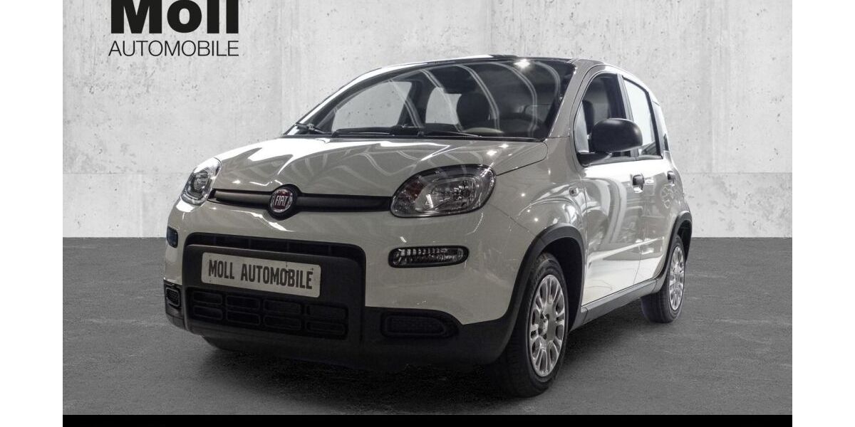 Fiat Panda 5.990 km 13.875 € Köln 51149