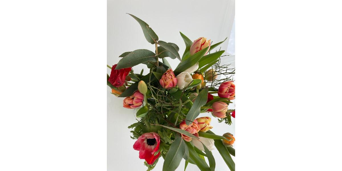 Wohnung mit Terrasse in Pattscheid zu vermieten 4 zimmer