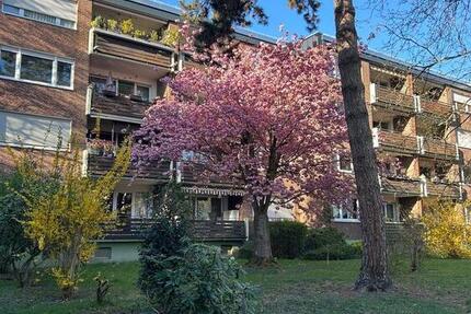 Gemütliche 3 Zimmer Wohnung in Erftstadt Liblar 3 zimmer