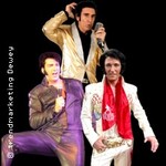 3x Elvis! Die große Elvis-Zeitreise! - Shaky Everett,Oliver Steinhoff,Brian Troy