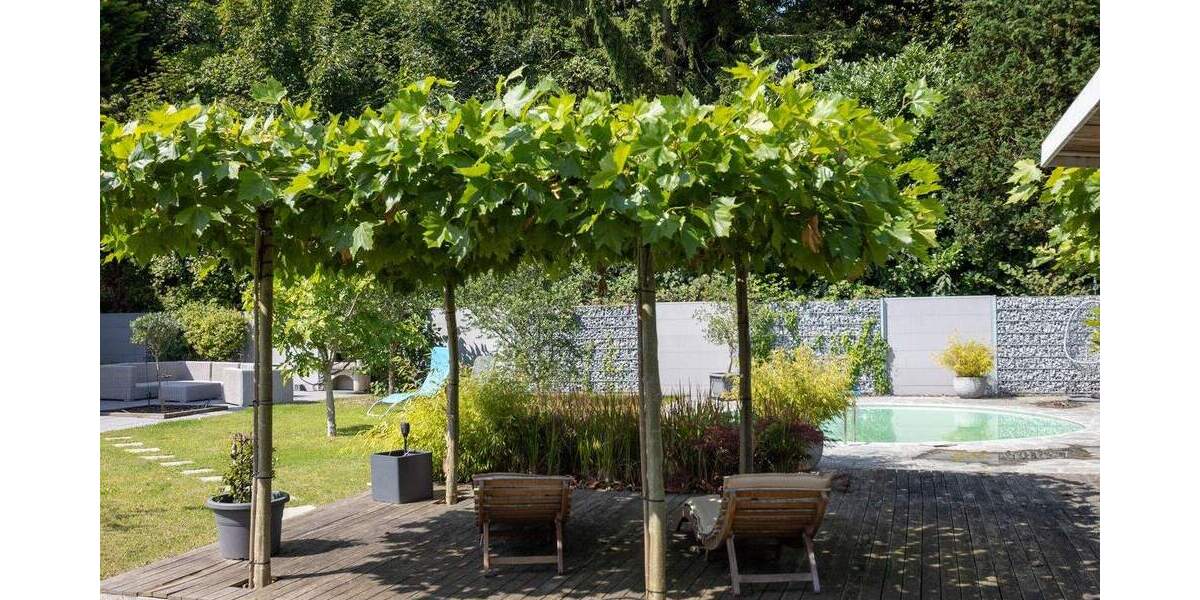 Neuwertiges, freistehendes Einfamilienhaus mit Pool und tollem Garten in zentraler Lage 4 zimmer