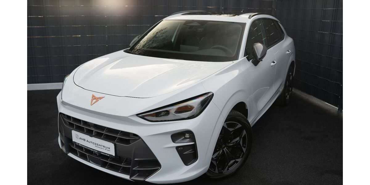 Cupra Terramar 16.046 km 40.499 &euro; Dormagen 41539