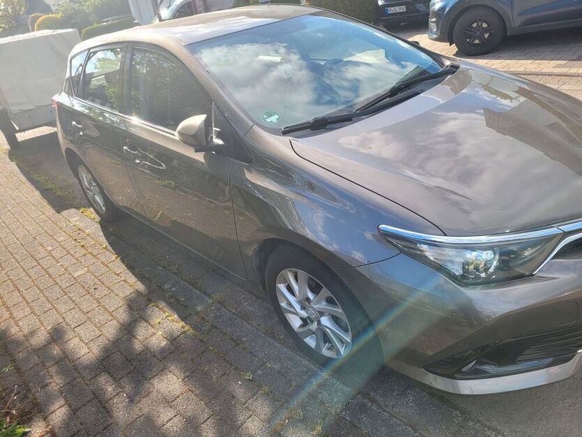 Auris
