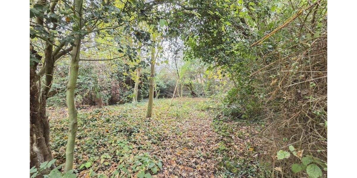 Pulheim-Brauweiler: Vielseitiges Wohnbaugrundstück mit B-Plan in gefragter Lage zimmer