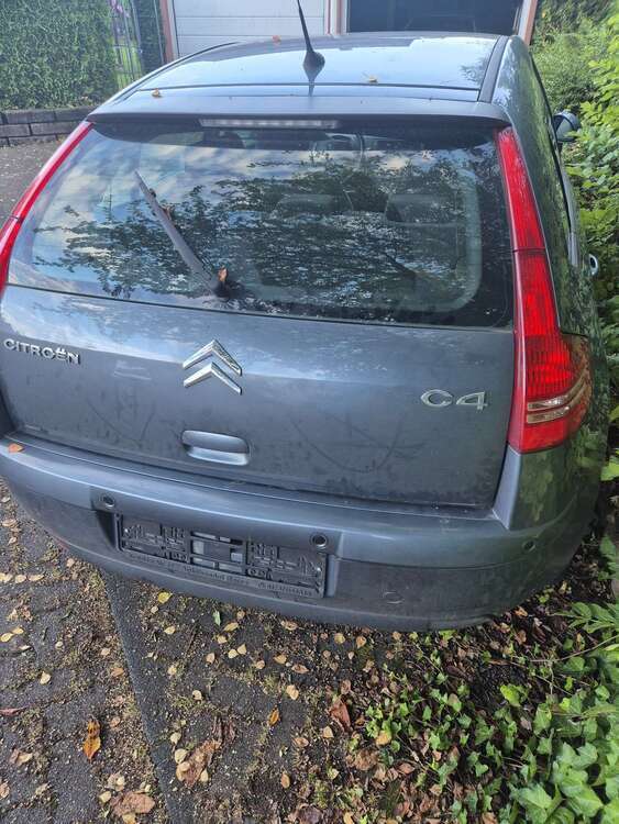 C4