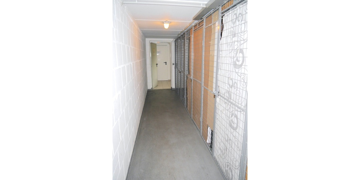 NE-Stadionviertel, ruhige kompl. Renov. 2 Zi. ETW, KDB, Balkon, Carport, Keller - Erdgeschoßwohnung Neuss Augustinusviertel | Angebot:27350485