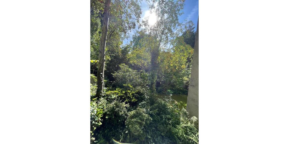 Etagenwohnung Solingen Burg - 2.5 Zimmer, 57 m&sup2;, 283&euro; | Angebot:25126951