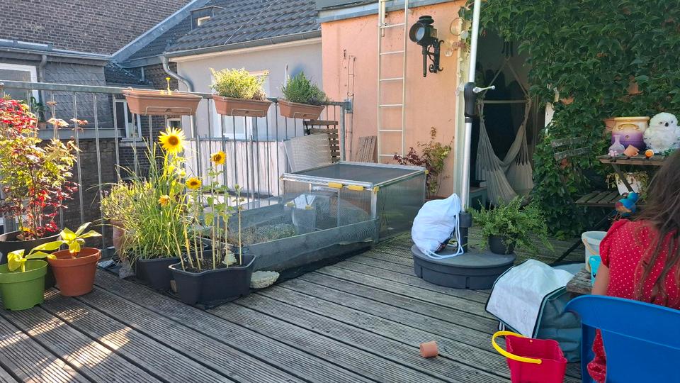 Maisonettenwohnung Köln Ehrenfeld - 3.5 Zimmer, 64 m&sup2;, 1.850&euro; | Angebot:25443954