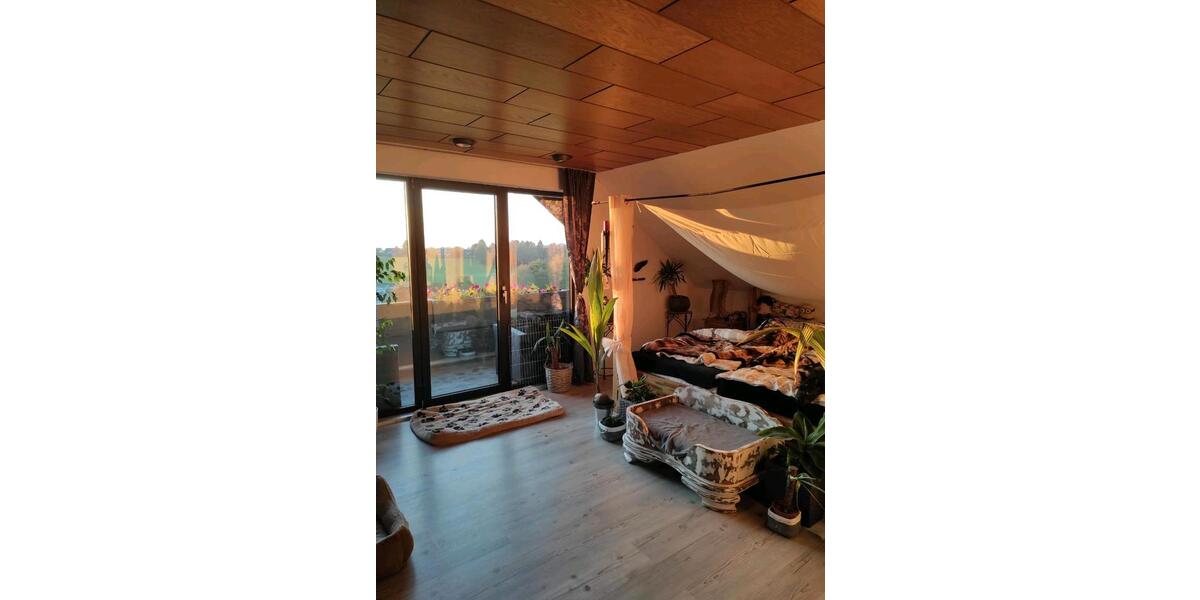 Einfamilienhaus mit Einliegerwohnung zimmer