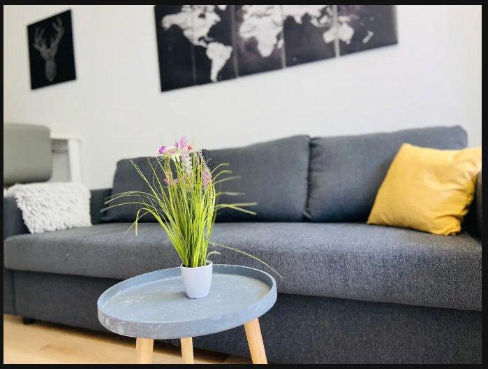 Etagenwohnung Köln Rodenkirchen - 1 Zimmer, 22 m&sup2;, 650&euro; | Angebot:26238712