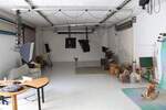 Mehrfamilienhaus, Wohnhaus Hürth Gleuel - 1 Zimmer, 220 m&sup2;, 1.100.000&euro; | Angebot:25749016