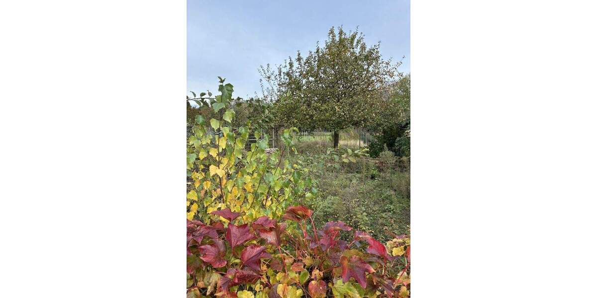 Reihenmittelhaus Bergheim Paffendorf - 4 Zimmer, 80 m&sup2;, 95.000&euro; | Angebot:25602393