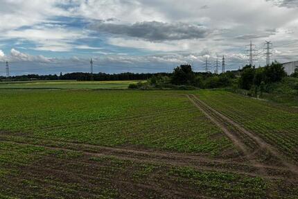 Schöne 72 qm Dachgeschosswohnung Neusserfurth-Nord 2 zimmer