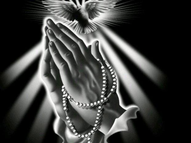 lagerhalle Räumlichkeiten zimmer