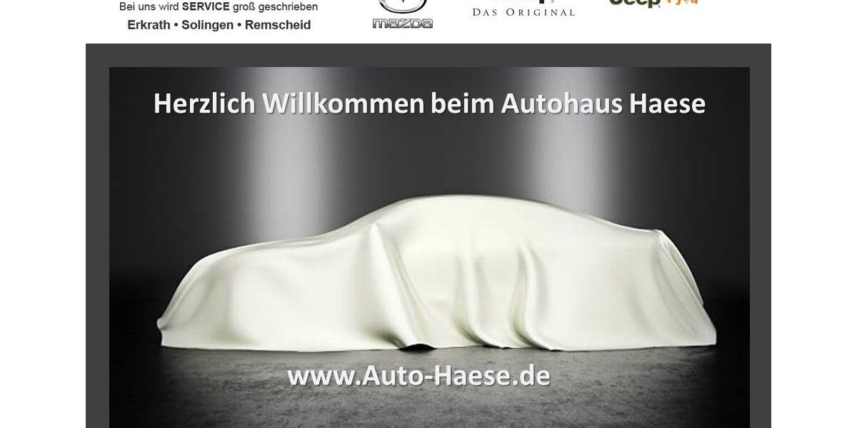 Jeep Wrangler 58.895 km 45.990 &euro; Erkrath 40699