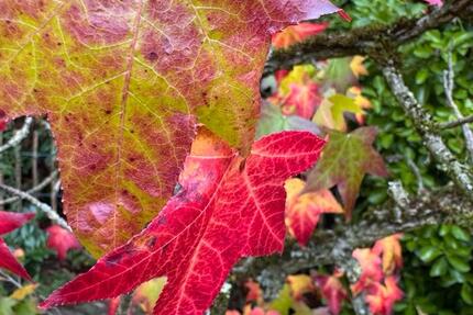 REH Langenfeld ab 0326 4 zimmer