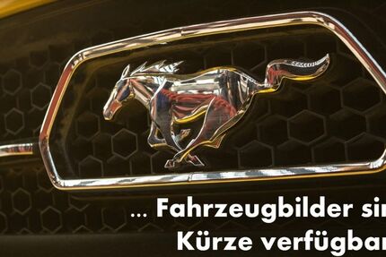 Ford Mustang Mach-E 31.000 km 36.900 &euro; Köln 50769