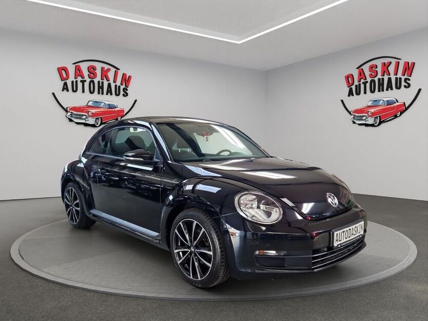 Beetle
