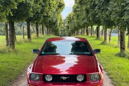 Ford Mustang 273.000 km 13.000 &euro; Remscheid 42853