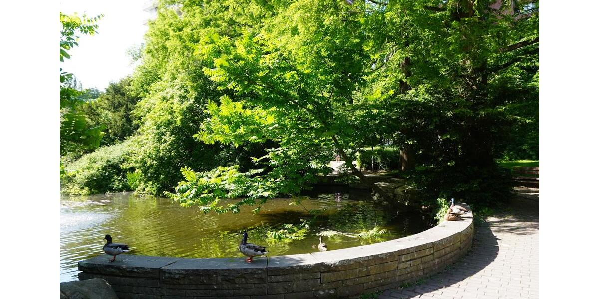 Etagenwohnung Köln Rodenkirchen - 1 Zimmer, 43 m&sup2;, 895&euro; | Angebot:24441587