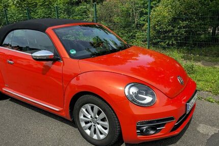 VW Beetle
