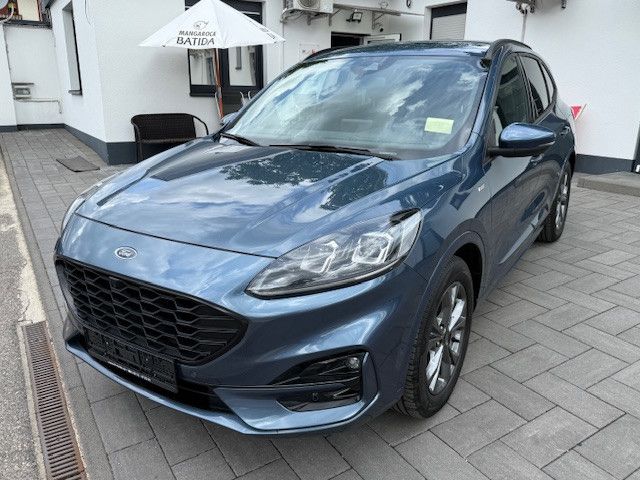 Kuga