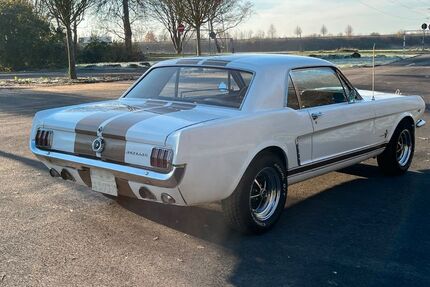 Ford Mustang 154.000 km 42.000 &euro; Pulheim 50259