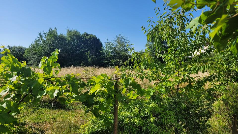 Doppelhaushälfte Bergisch Gladbach Gronau - 7 Zimmer, 136 m&sup2;, 621.000&euro; | Angebot:25649358