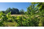 Doppelhaushälfte Bergisch Gladbach Gronau - 7 Zimmer, 140 m&sup2;, 620.000&euro; | Angebot:25649358