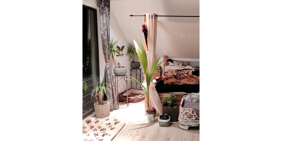 Einfamilienhaus mit Einliegerwohnung zimmer