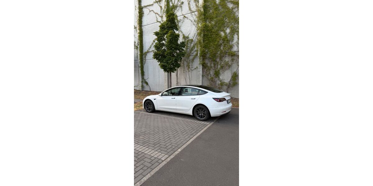 Tesla Model 3 56.000 km 27.900 &euro; Köln 50933