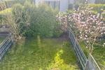 Reihenhaus Neuss Furth-Mitte - 4 Zimmer, 176 m&sup2;, 2.300&euro; | Angebot:26126577