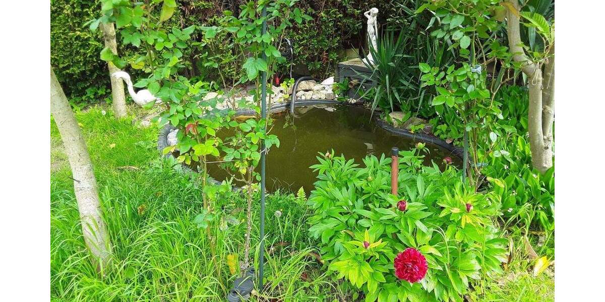 Mehrfamilienhaus, Wohnhaus Kerpen Horrem - 8 Zimmer, 170 m&sup2;, 529.000&euro; | Angebot:25479042