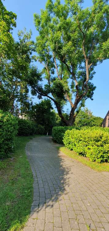 Haus zum Kaufen in Köln 650.000 € 106 m²