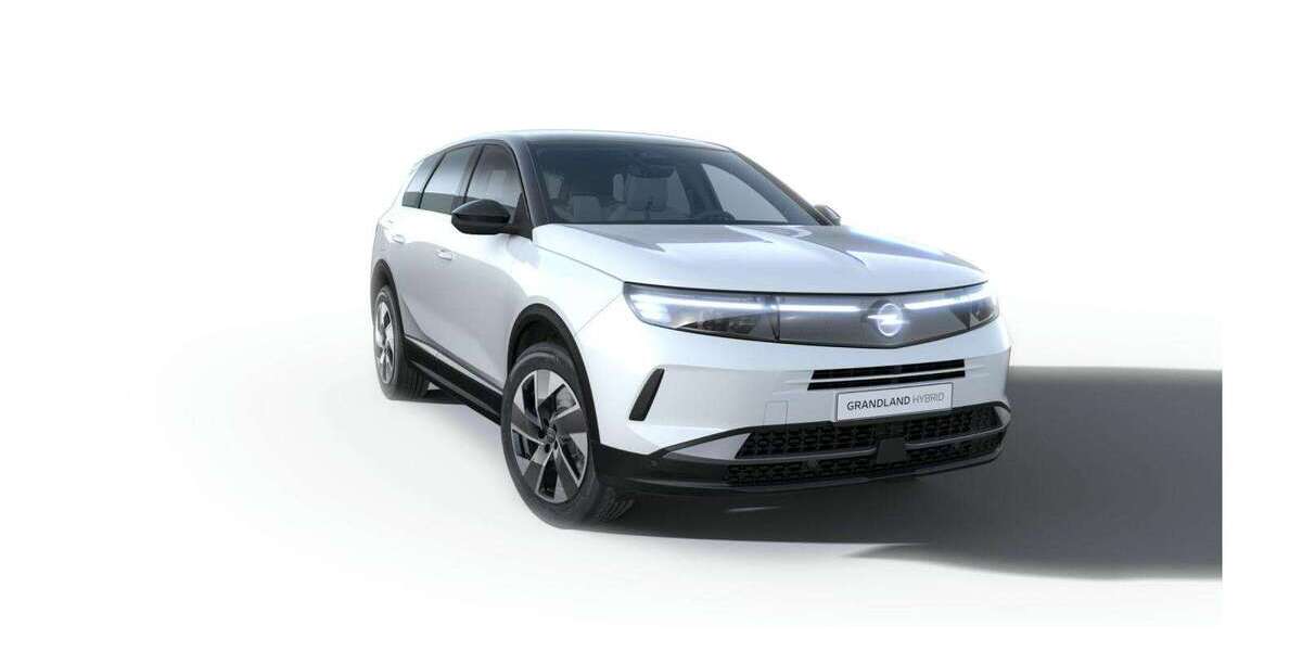 Opel Grandland X 2.000 km 45.040 &euro; Neuss 41460