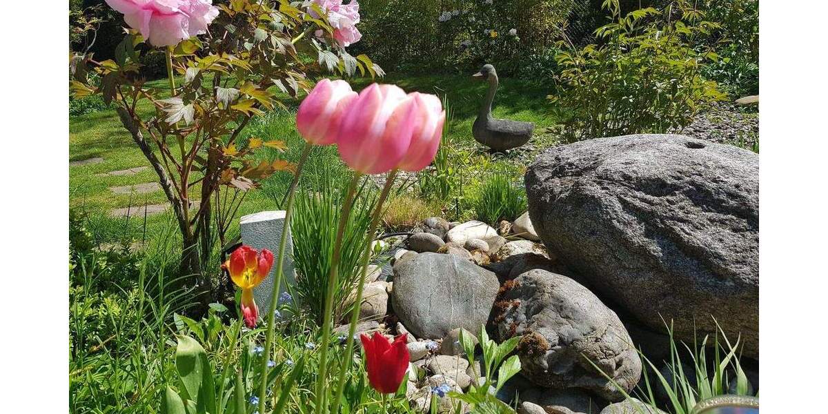 Großzügiges Haus in bester Wohnlage in Köln-Müngersdorf provisionfrei von Privat 7 zimmer