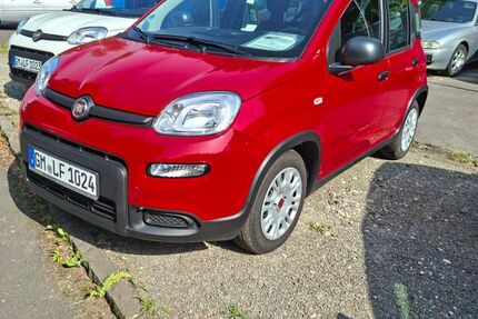 Fiat Panda 10.800 km 13.490 € Engelskirchen 51766