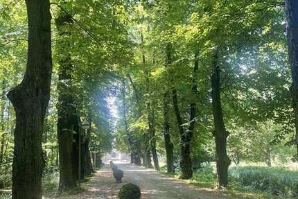 Wohnung zum Kaufen in Bergheim 209.000 € 60 m² 2 zimmer