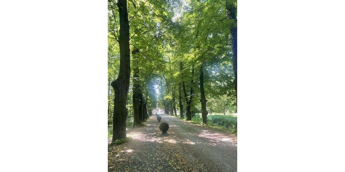 Wohnung zum Kaufen in Bergheim 209.000 € 60 m² 2 zimmer