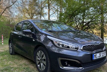 Kia ceed / Ceed 113.000 km 10.900 &euro; Leverkusen 51381