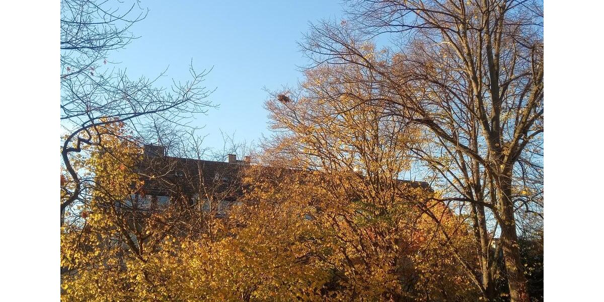 Etagenwohnung Köln Rodenkirchen - 3 Zimmer, 68 m&sup2;, 388.000&euro; | Angebot:24525341