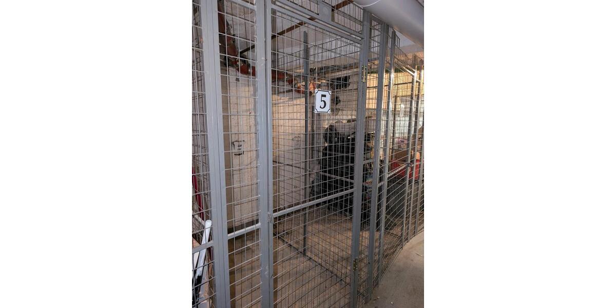 Charmante 2-Zimmer-Wohnung in Top-Lage in Pempelfort 2 zimmer