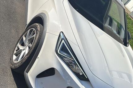 Cupra Formentor 93.000 km 22.000 &euro; Köln 51105