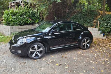 VW Beetle
