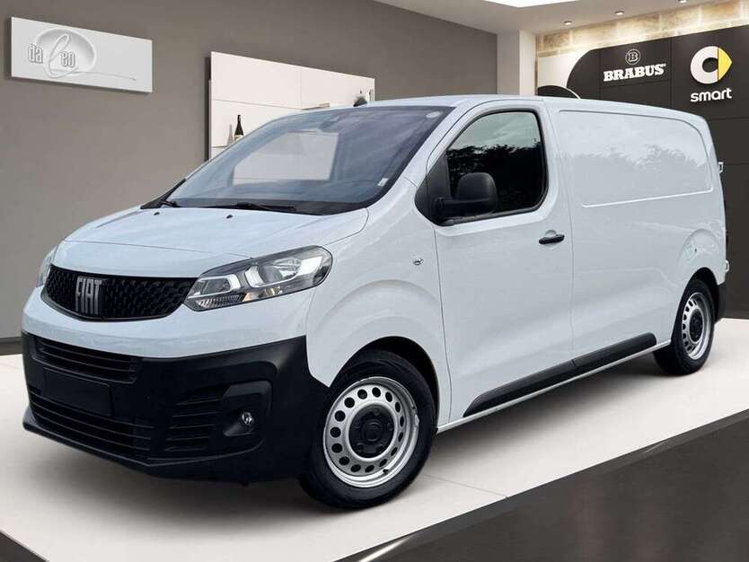 Scudo