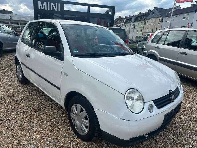 Lupo