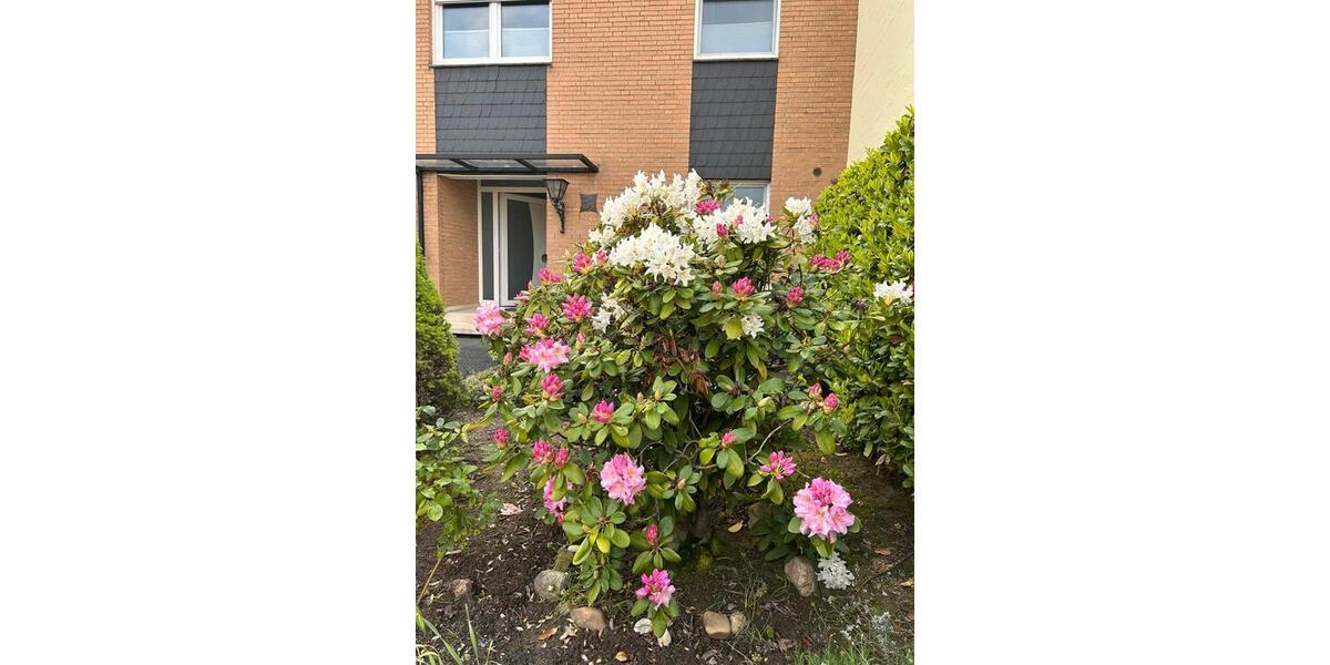 Provisionsfrei! Schönes RMH inkl. Garage mit 5 Zimmern Köln 5 zimmer